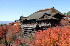 2012年11月25日 清水寺