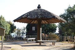 12月6日 須磨離宮公園 ７