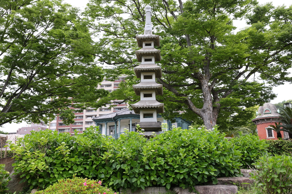 5月15日 相楽園 ４
