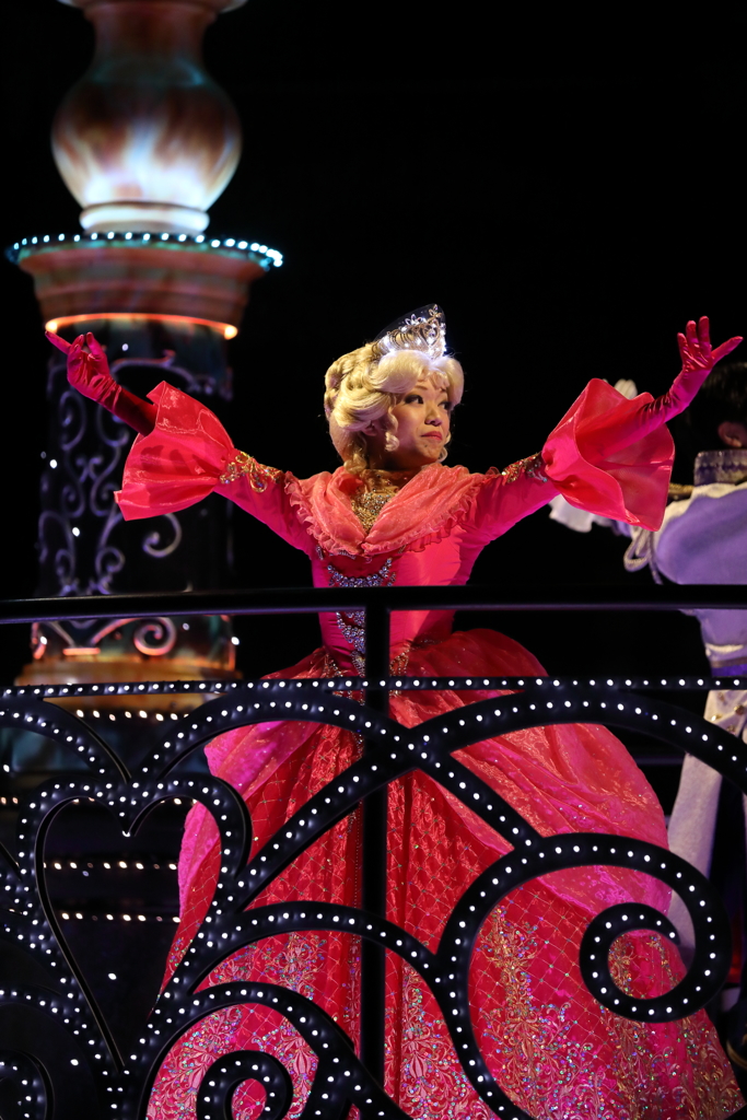 11月22日 東京ディズニーランド 86