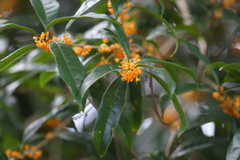 10月16日 明石公園 14