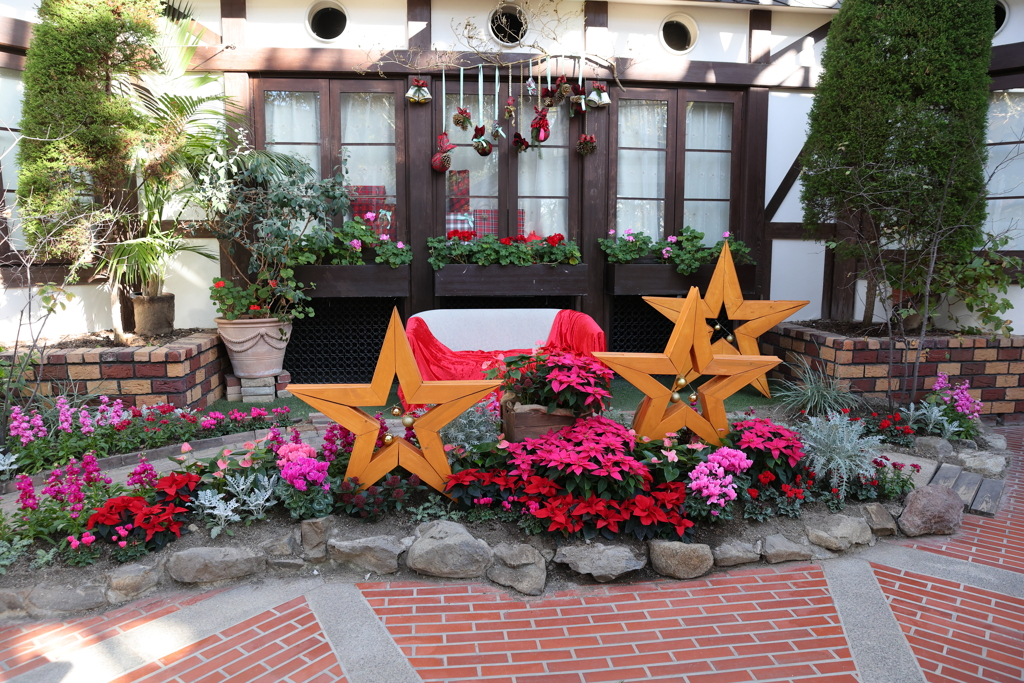 11月14日 布引ハーブ園 15