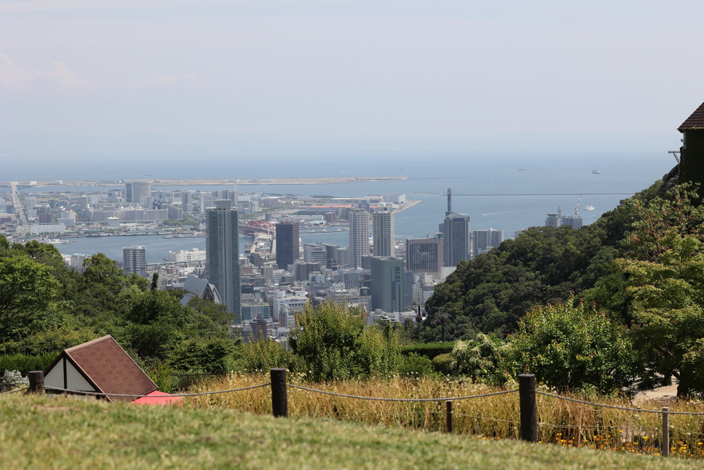 6月9日 布引ハーブ園 70