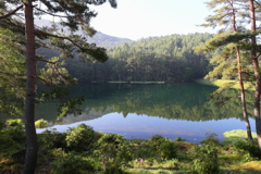 8月11日 松本 60