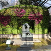 12月15日 布引ハーブ園 14