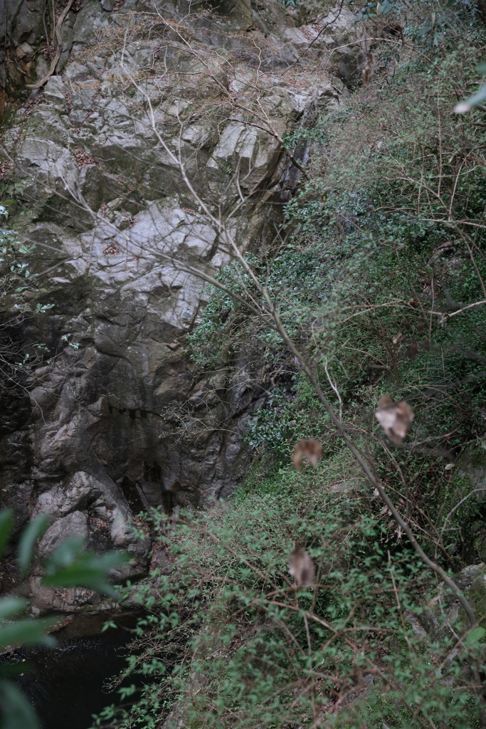 3月20日 布引の滝 ７