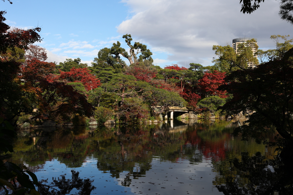 11月28日 相楽園 ５