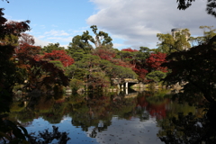 11月28日 相楽園 ５