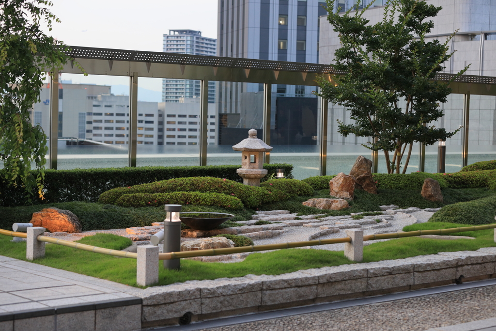 6月6日 天空の農園 22