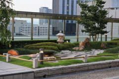 6月6日 天空の農園 22