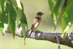 9月25日 明石公園 ７