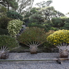 10月31日 相楽園 １