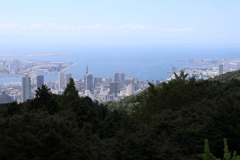 8月12日 布引ハーブ園 １