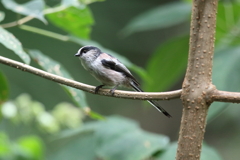 9月18日 明石公園 ５