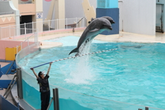 6月11日 須磨海浜水族園 21