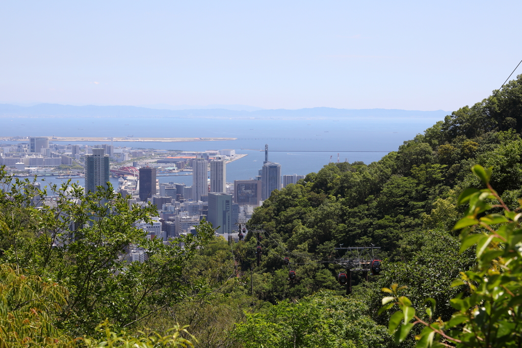 5月28日 布引ハーブ園 67