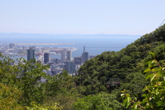 5月28日 布引ハーブ園 67