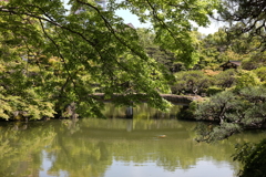 5月23日 相楽園 11