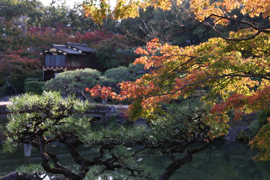 10月31日 相楽園 26