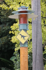 恐竜出没注意? 恐竜出没注意?