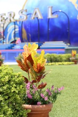USJ風景 97