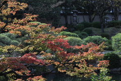 11月11日 相楽園 14 11月11日 相楽園 14