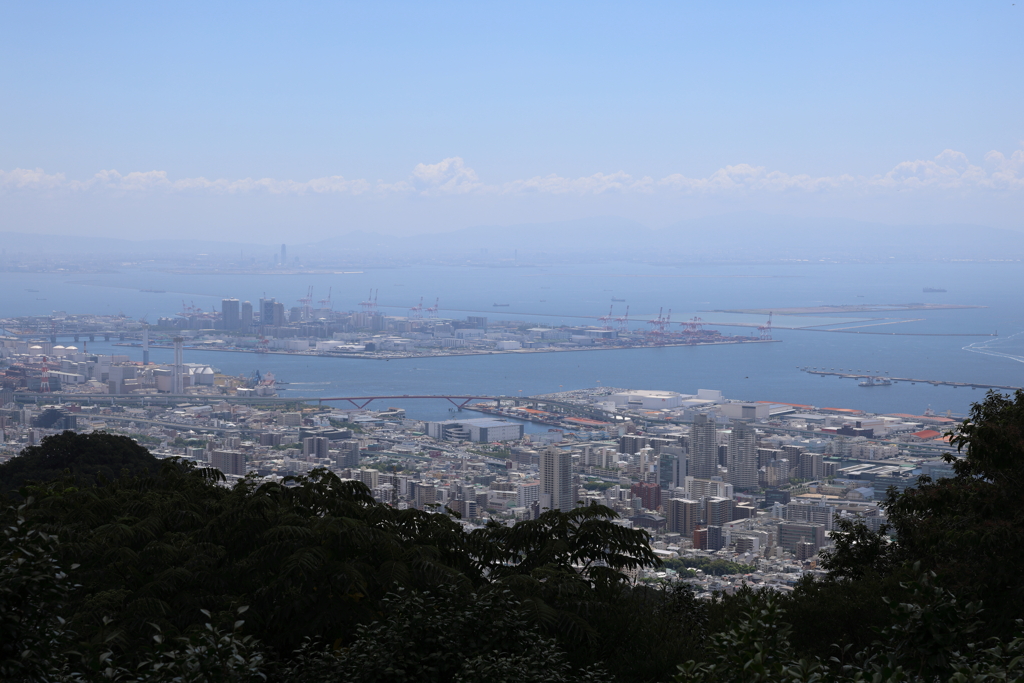 8月12日 布引ハーブ園 ９