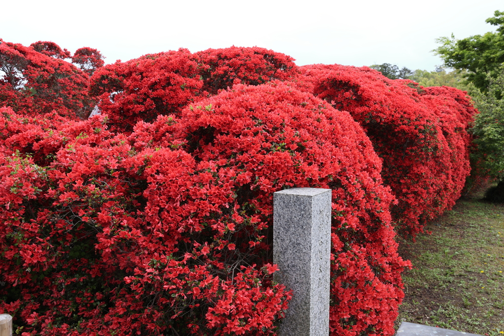 4月18日 長岡天神 ８