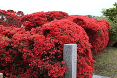 4月18日 長岡天神 ８