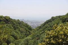 5月14日 長距離散歩 15