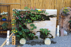 11月16日 相楽園 14