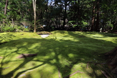3月20日 京都嵐山 32