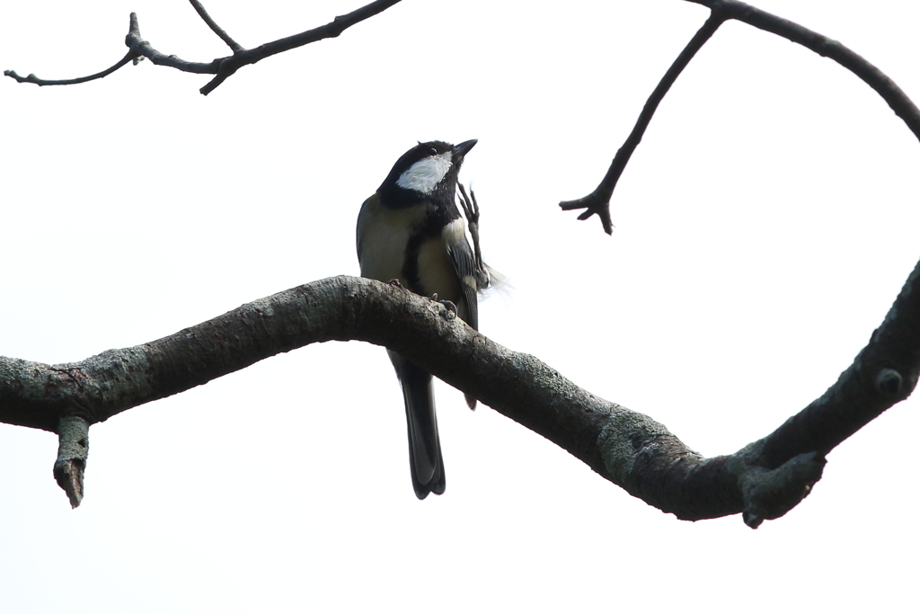 10月16日 明石公園 17