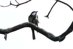 10月16日 明石公園 17