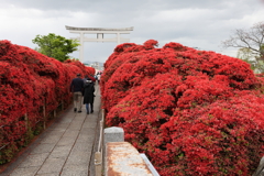 4月18日 長岡天神 ７