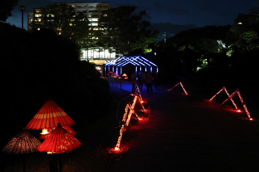 8月27日 相楽園 29