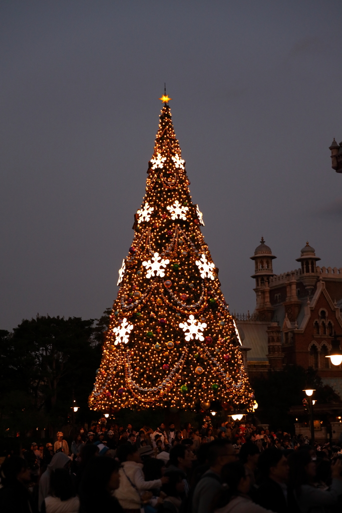 11月8日 東京ディズニー・シー 112