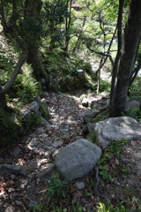 5月23日 相楽園 23