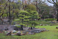 3月28日 明石公園 11