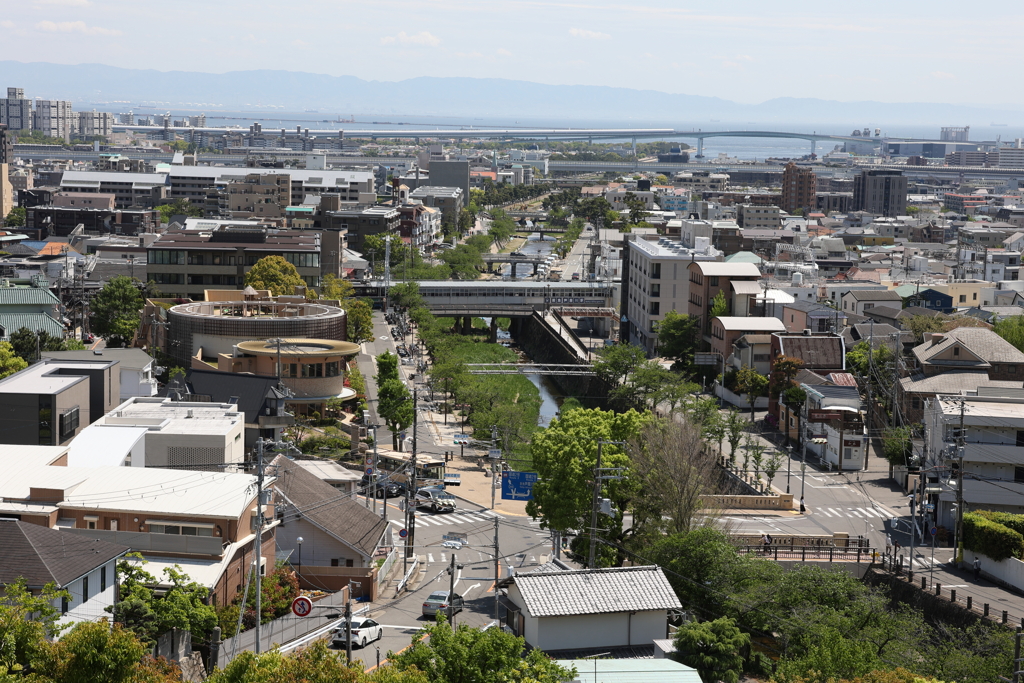 4月25日 散歩 13