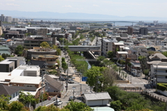 4月25日 散歩 13