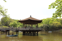 5月2日 奈良 18