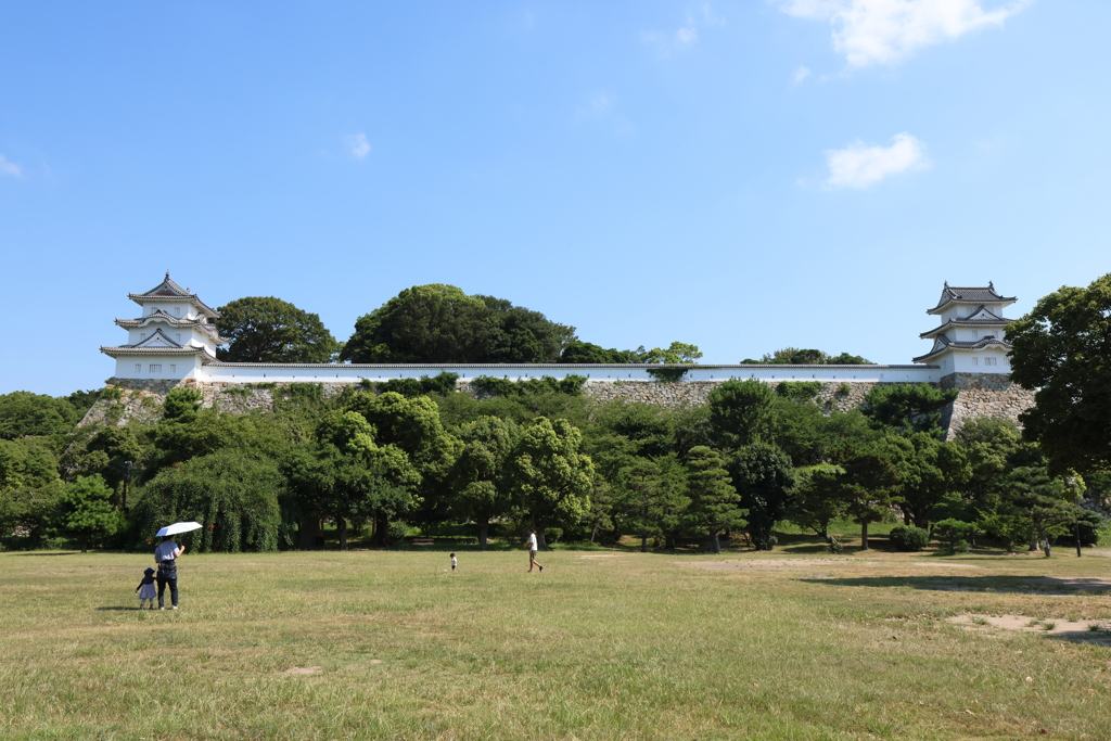 8月13日 明石公園 ２