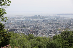 5月14日 長距離散歩 37