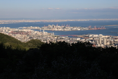 8月10日 布引ハーブ園 ７