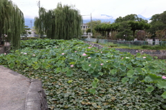 8月11日 松本 20