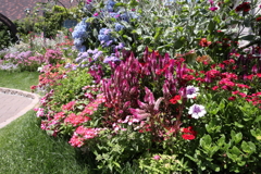 6月9日 布引ハーブ園 21