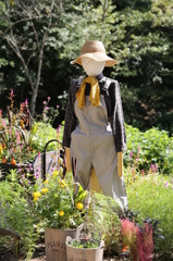 布引ハーブ園 5 布引ハーブ園 5