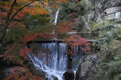 12月2日 布引の滝 8 12月2日 布引の滝 8