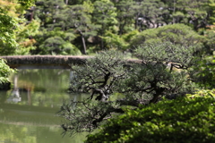 5月23日 相楽園 39